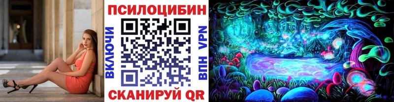 Купить закладки  Всеволожск  Псилоцибиновые грибы прущие грибы 
